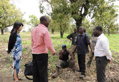 For the promotion of dry season farming in the Upper East region