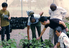 The cultivation and genetic characteristics of indigenous Jatropha will be analyzed. Based on the results, an integrated database will be constructed to aid in technical development for biofuel production.