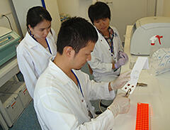 SATREPS Lao researcher begins DNA extraction from filter paper blood samples