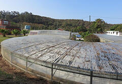 The test field of this project is a microalgae culture pool at a sewage treatment plant in Durban, South Africa.