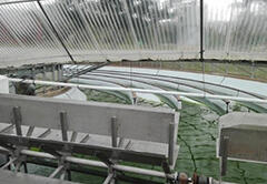 The interior of the culture pool. In this facility, microalgae are cultured from treated sewage.