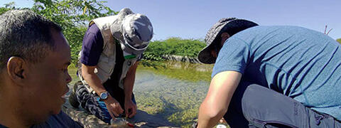 pic3 Sampling to identify algae growing in water tanks at a test farm in Damerjog