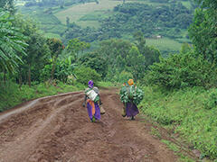 pic1 Roads with deep ditches damaged during rainy seasons in South Omo 