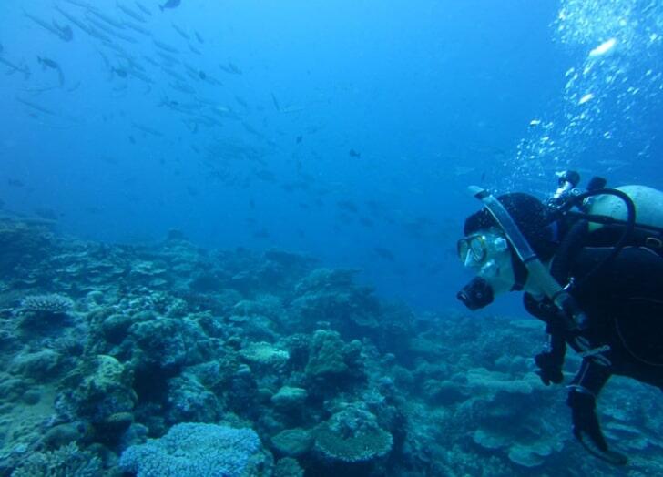 Underwater survey of Oceania coral reef biota