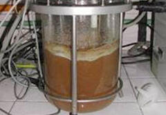 バガスからエタノールを生成するための酵素を生産（ブラジルUFRJ）