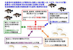 本事業「次世代の食糧安全保障のための養殖技術研究開発」の研究実施概要 