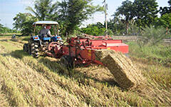 タイ国で大量に生成する稲わらと露天掘りで生産される褐炭（1）