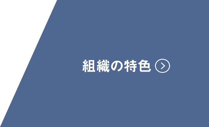 組織の特色