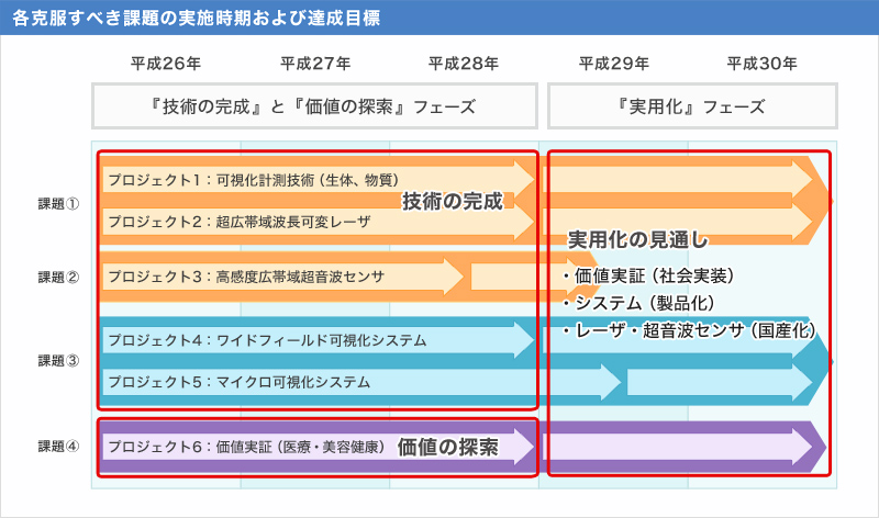 各克服すべき課題の実施時期および達成目標図