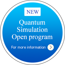 Quantum Simulation Open program