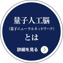 量子人工脳　(量子ニューラルネットワーク)とは