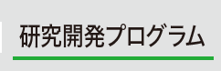 研究開発プログラム