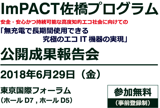 H30年度 公開成果報告会