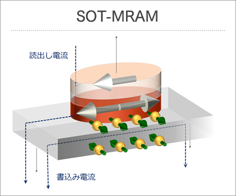 SOT-MRAM