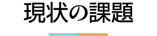 現状の課題