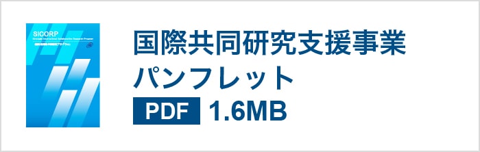 国際共同研究支援事業 パンフレット（PDF）