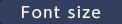 font size
