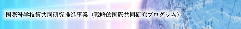 国際科学技術共同研究推進事業（戦略的国際共同研究プログラム）