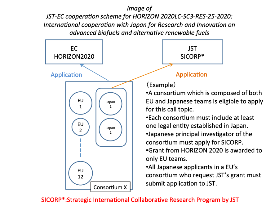 HORIZON 2020：LC-SC3-RES-25-2020