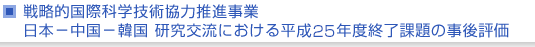 戦略的国際科学技術協力推進事業　日本−中国−韓国研究交流における平成25年度終了課題の事後評価について