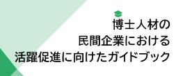 文部科学省の取り組み　博士人材の民間企業における活躍促進にむけたガイドブック