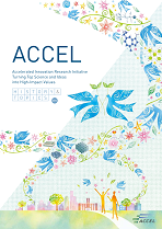 ACCEL HISTORY and TOPICS