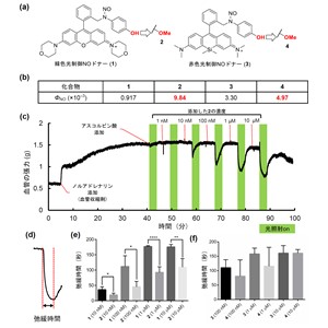 アスコルビン酸による光応答性ニトロソニウムイオン放出剤からの高効率な一酸化窒素放出と光による効率的な血管弛緩制御