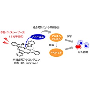 光がん治療法の新原理を提案～必要に応じて薬剤を供給するドラッグデリバリーシステムへの発展に期待～