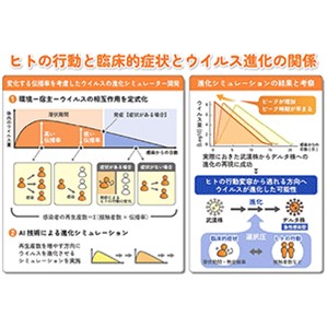 AI技術で新型コロナウイルスの進化メカニズムを分析～ウイルスの進化予測を踏まえた感染症対策の第一歩～