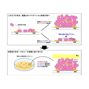 新手法で微生物の電気伝導性測定に成功、その生態系理解に迫る
