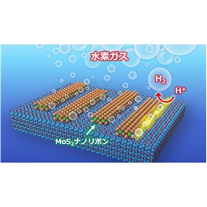 水素発生と半導体応用を兼ね備えた２次元半導体ナノリボンを実現～MoS2ナノリボンで高い触媒活性とトランジスタ動作を実証～