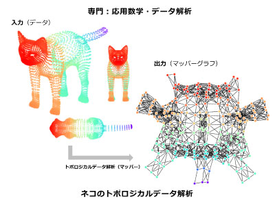 井元 佑介 研究テーマ画像