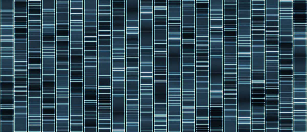 2024年度研究提案の募集を開始しました | CREST・さきがけ・ACT-X研究 2024年度研究提案の募集を開始しました | CREST・さきがけ・ACT-X研究