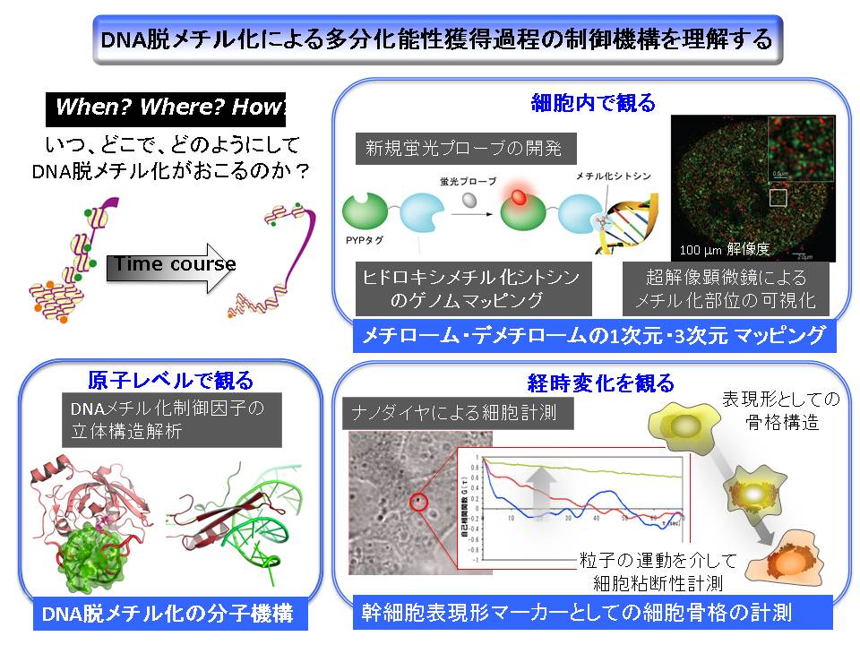 白川 昌宏_概要図