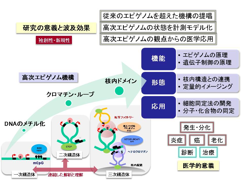 中尾 光善_概要図