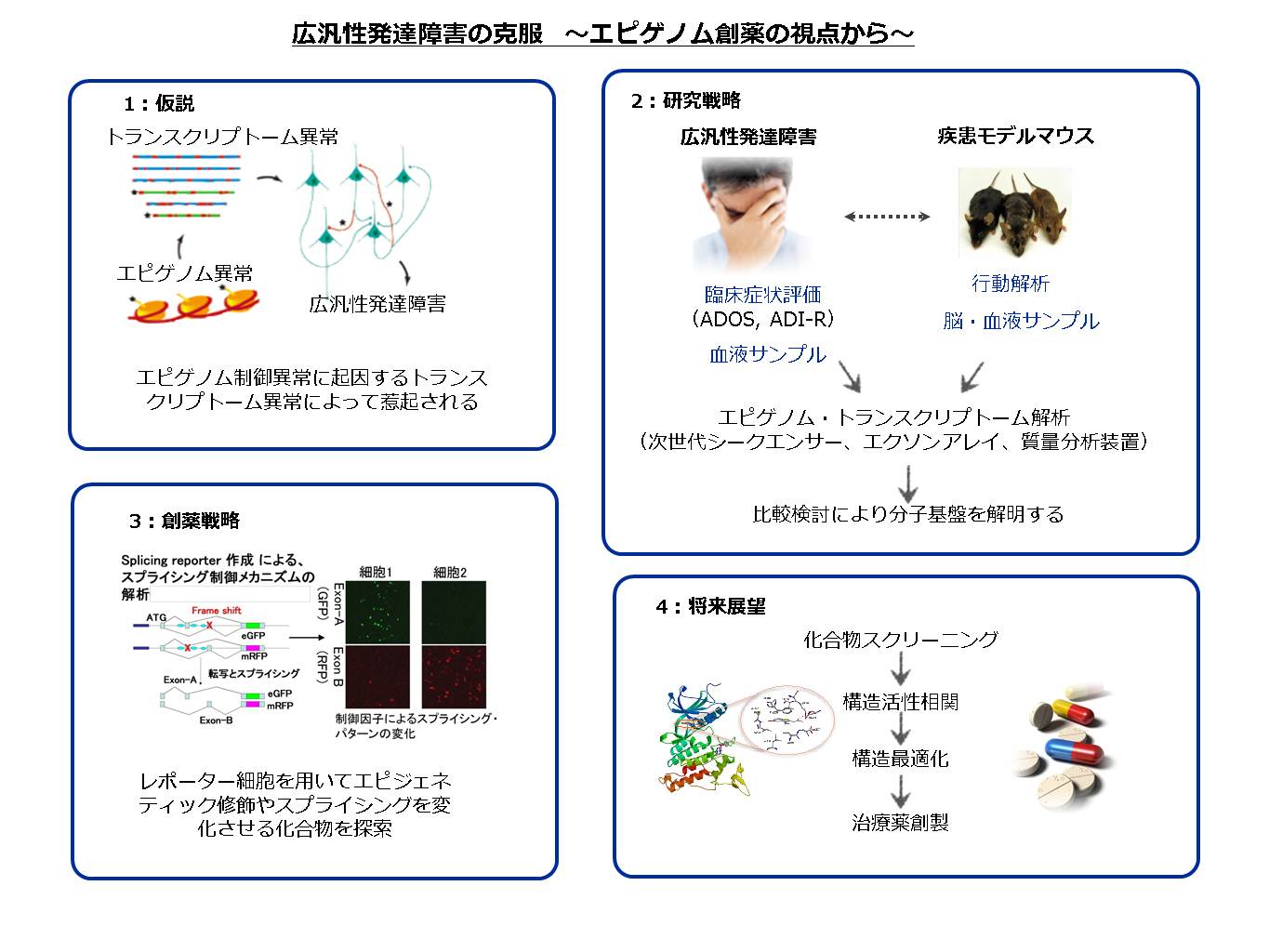 発達 と 性 広汎 は 障害