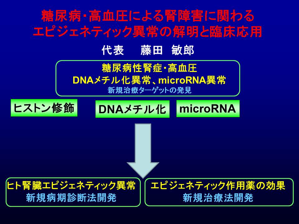 藤田 敏郎_概要図