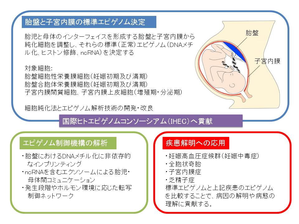 佐々木 裕之_概要図