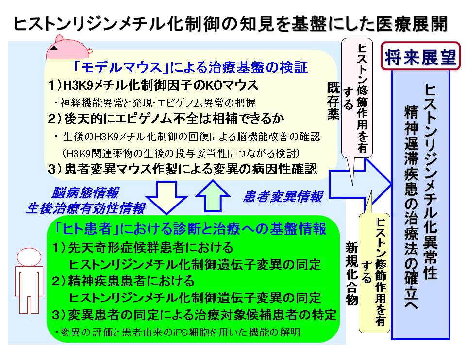 眞貝 洋一_概要図