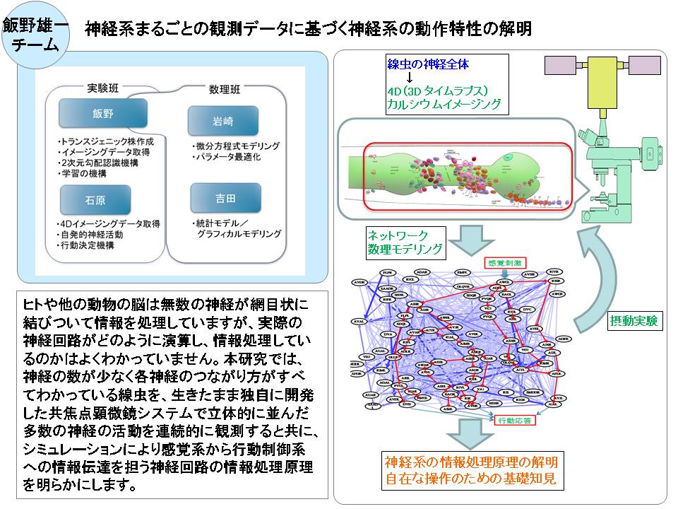 飯野 雄一_概要図