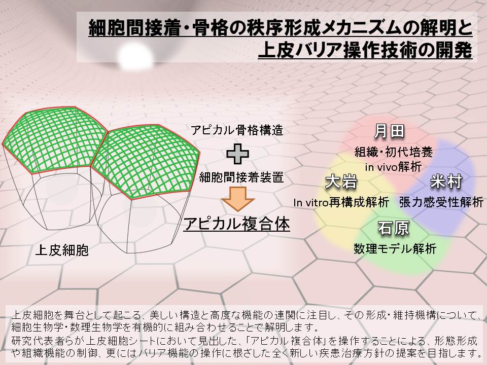 月田 早智子_概要図