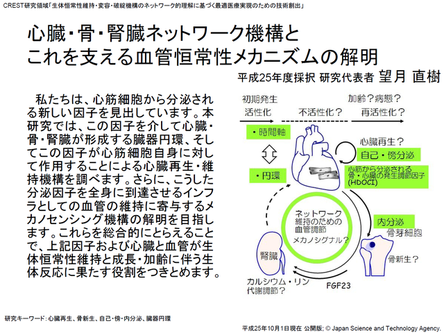 望月直樹_概要図