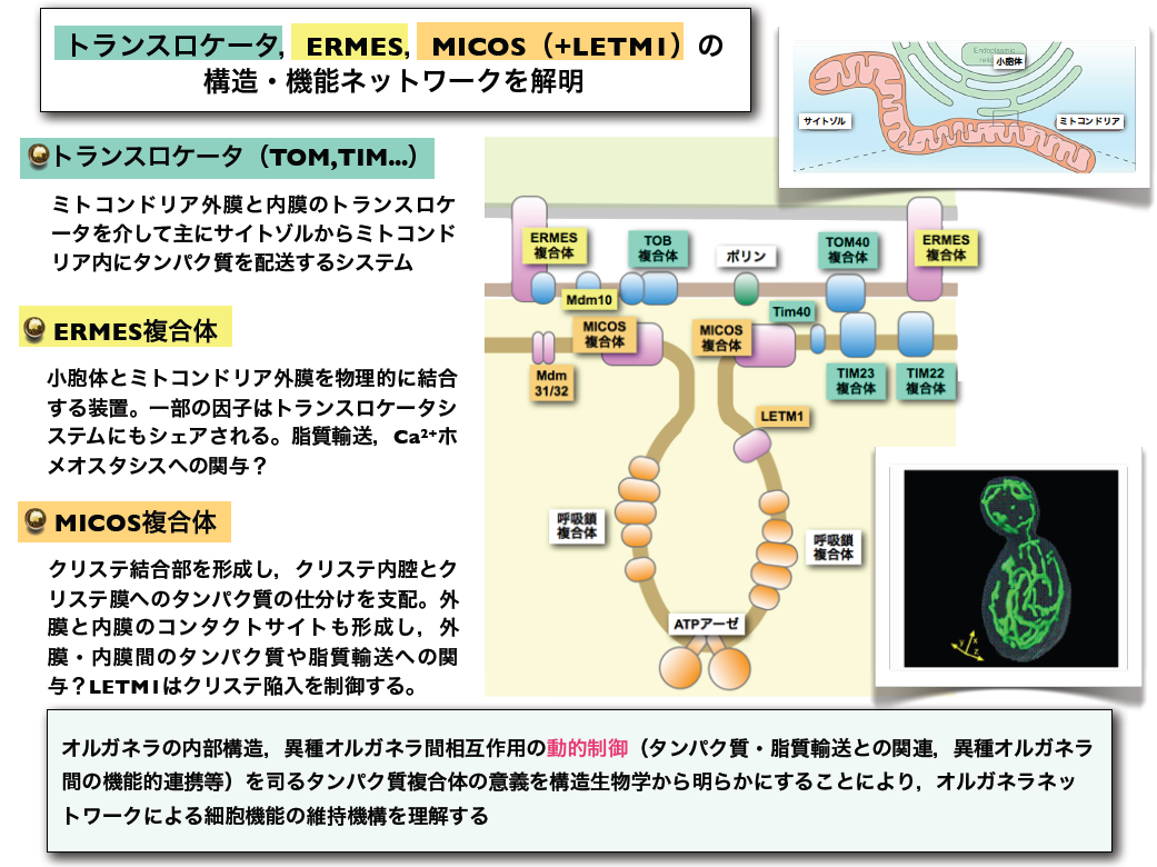 遠藤 斗志也_概要図