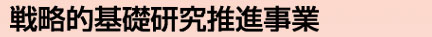 헪Ibi