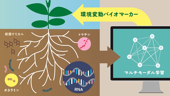 根の活力と根圏微生物 (自然と科学技術シリーズ)
