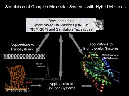 Simulation of Complex Molecular Systems with Hybrid Methods