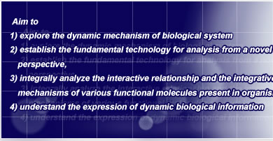 Aim to 1) explore the dynamic mechanism of biological system
