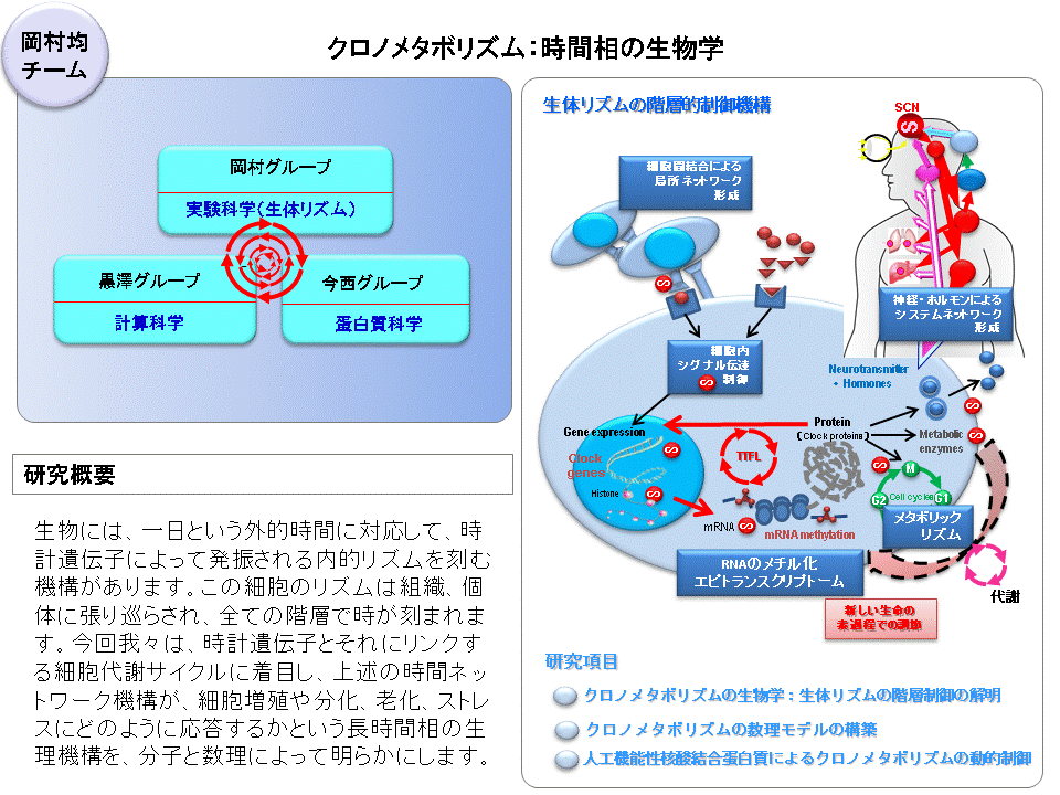 3_okamura