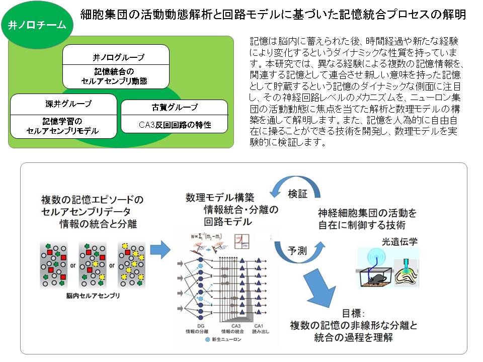 井ノ口　馨_概要図