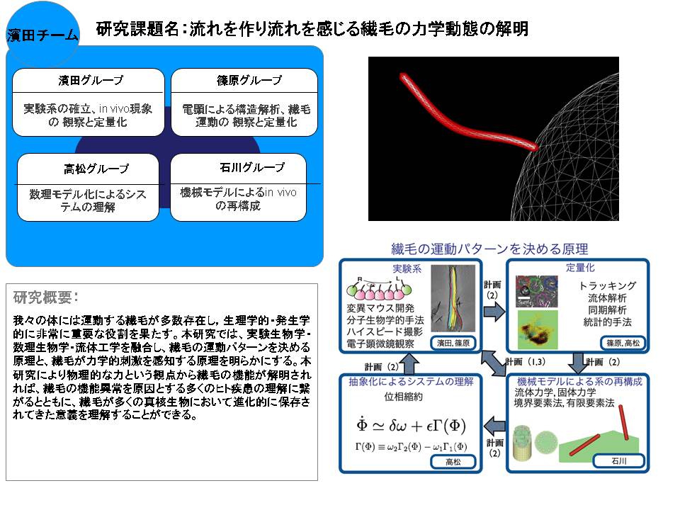 濱田 博司_概要図